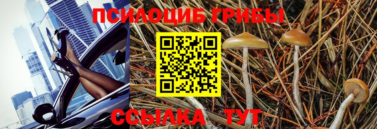 Псилоцибиновые грибы прущие грибы Конаково
