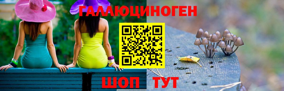 Галлюциногенные грибы Cubensis  Вход с VPN  Псилоцибиновые грибы GOLDEN TEACHER  наркотики  Конаково 